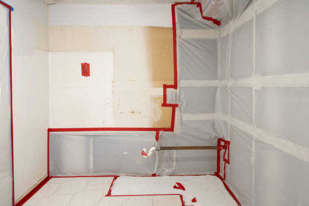 Best Crawl Space Mold Remediation  in Roanoke, IN